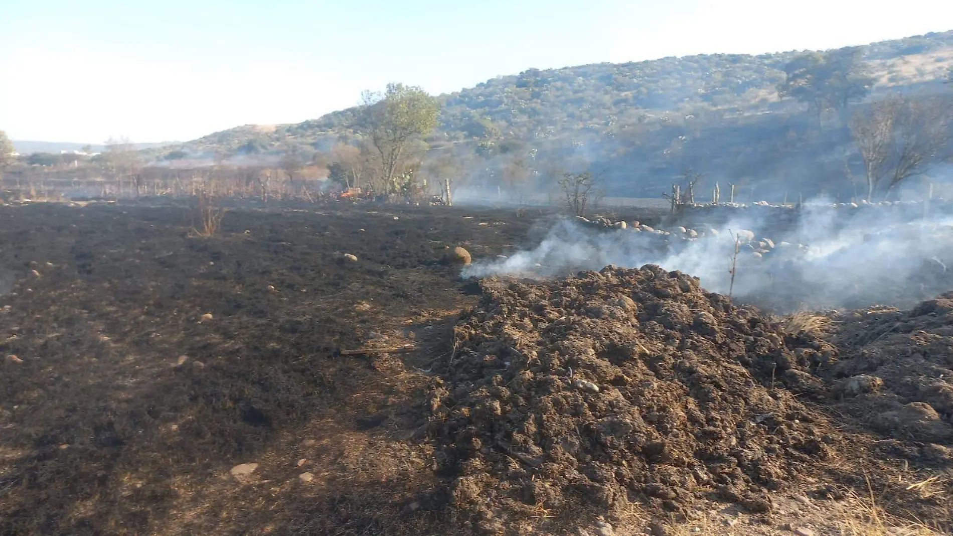 WEB INCENDIOS TEPEJI RIO